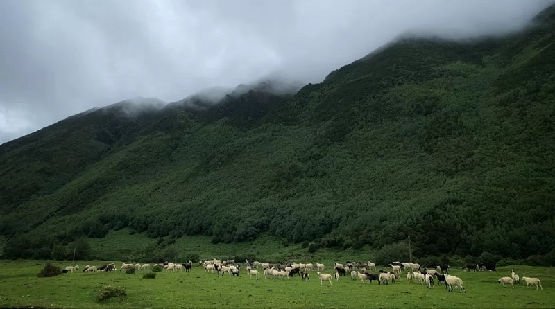 如何選擇適合自己的研學(xué)旅行及選擇研學(xué)機(jī)構(gòu)的標(biāo)準(zhǔn)是什么？