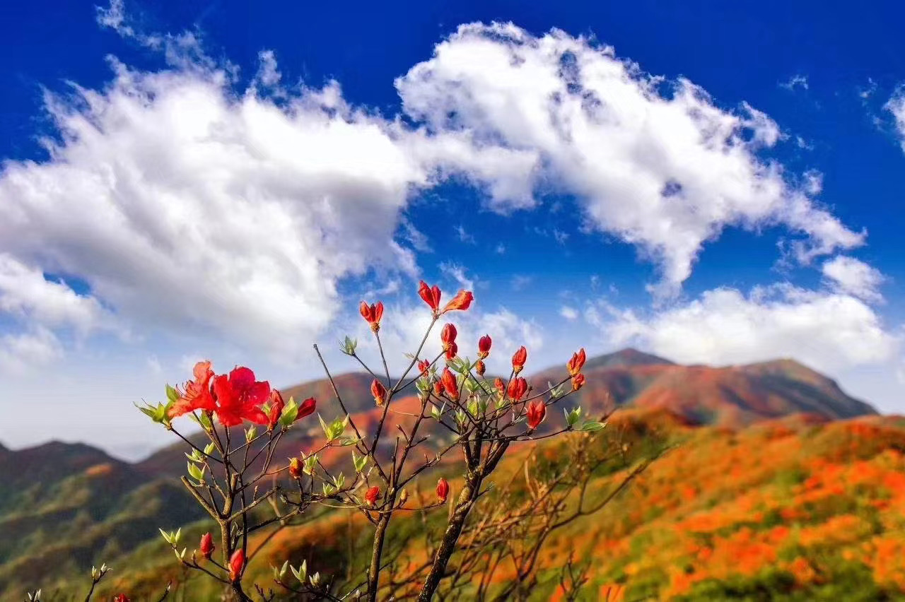 快！暑假夏令營(yíng)要去云南大理啦