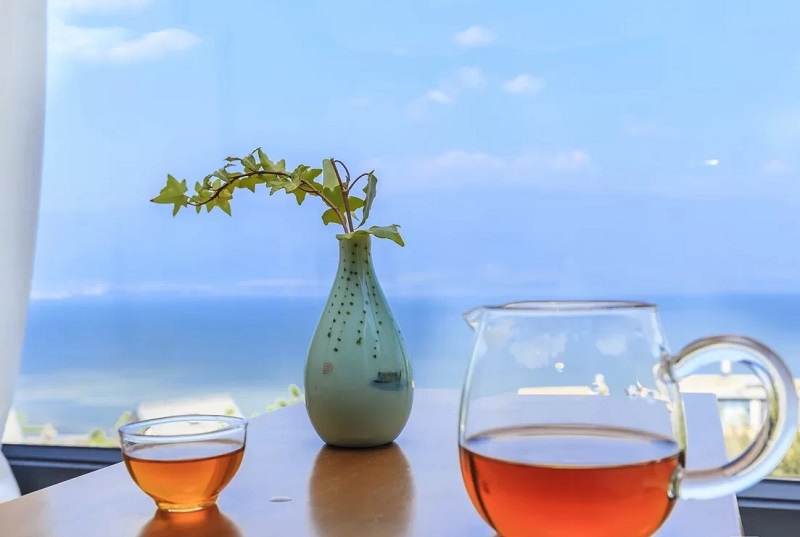 夏令營(yíng)的起源是什么？