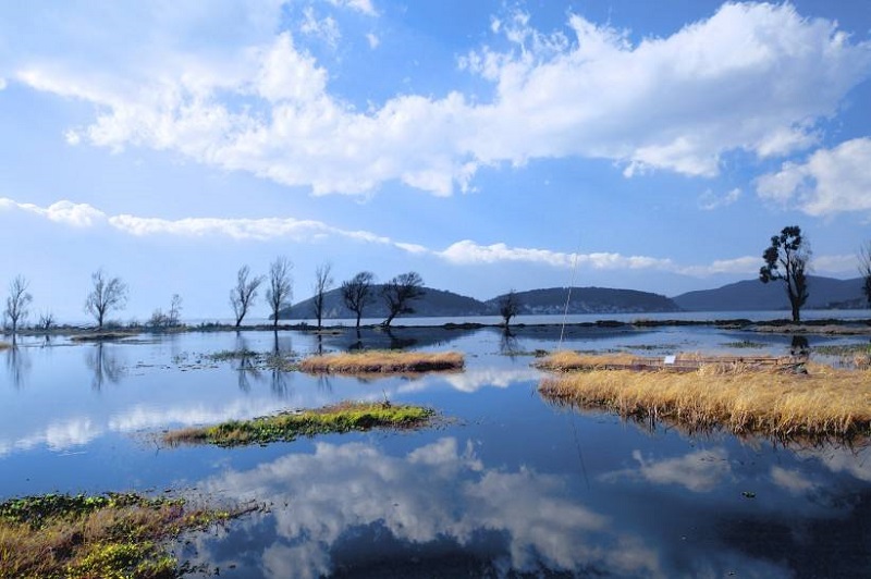 大理勵(lì)志夏令營(yíng)幫助孩子樹立志向，快來(lái)報(bào)名參加吧！