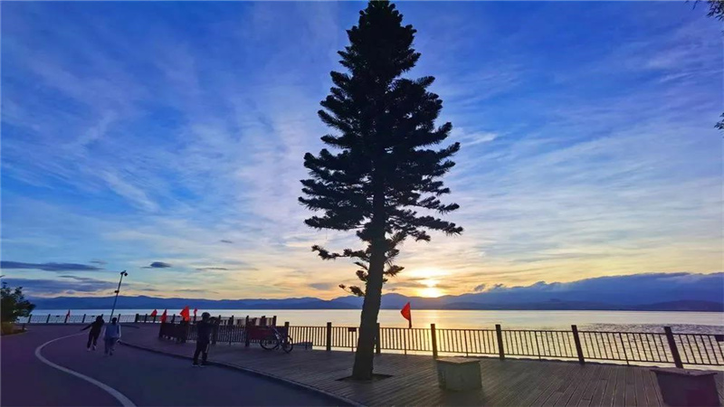 大理濃烈的夏日味道，都藏在洱海生態(tài)廊道