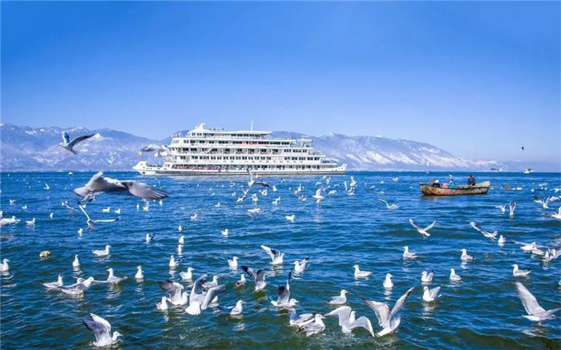 大理旅游 去表白吧！在大理這些美麗的湖畔
