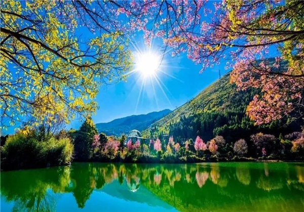 蝴蝶泉邊：邂逅超越時(shí)代的古老愛情，浪漫與幸福觸手可及