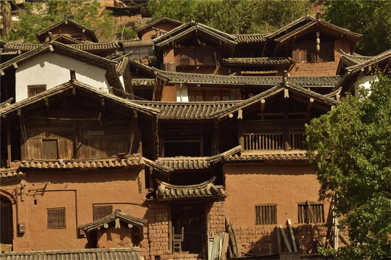 鄉(xiāng)愁大理丨諾鄧大青樹下，宿進(jìn)青蔥歲月，眺望巨木蒼天