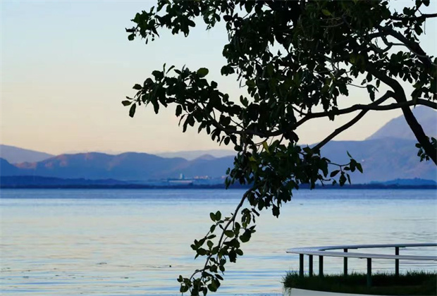 大理策劃公司:海舌，洱海邊的“寶藏公園”
